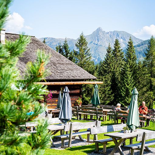 Hirschgrubenalm mit Aussicht (hoch)
